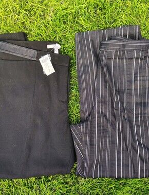 Chicos Size 3 (US 16) Women's Slacks Lot